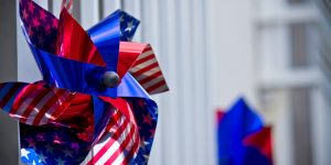 ppw_amerikakokkinokazaguruma_tp_v