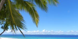 beach-sea-coast-tree-ocean-shore-696848-pxhere.com